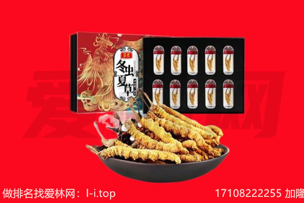 福州台江区回收虫草.jpg